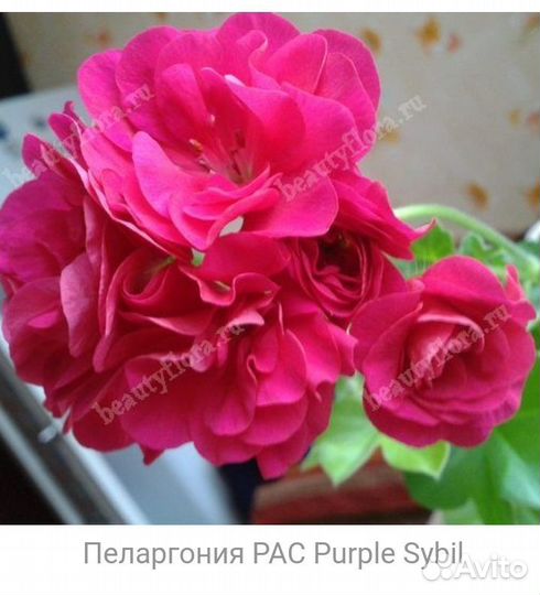 Искусственные цветы в горшках бу