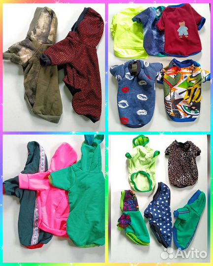 Одежда для животных