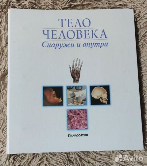 Тело человека. Снаружи и внутри