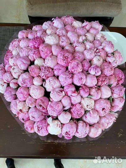 Живые цветы букеты 101 пион,букет цветов пионов