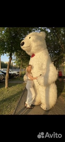 Поздравление от белого медведя, ростовая кукла