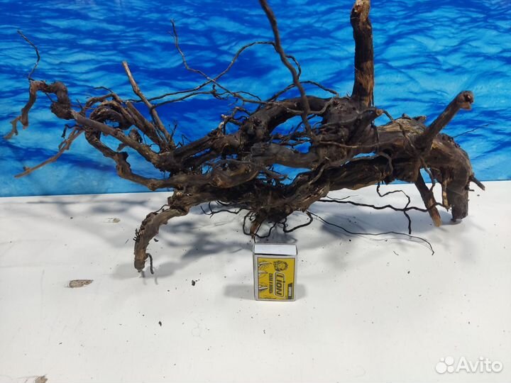 Корень виноградный коряга