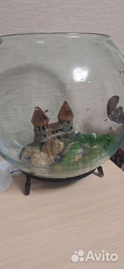Аквариум с рыбками