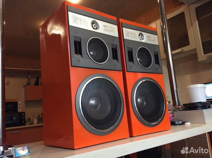 Акустика Вега 25ас 109-2