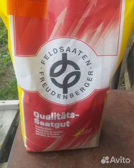 Семена редкого белого клевера, ползучего, Немецкий