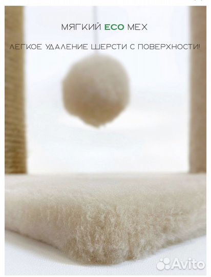 Когтеточка