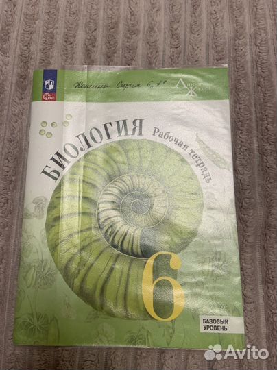 Учебники и тетради 6 класс