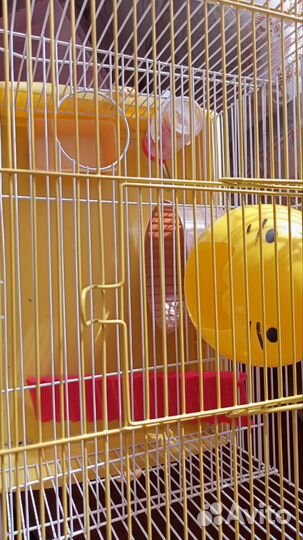 Клетка для хомяка