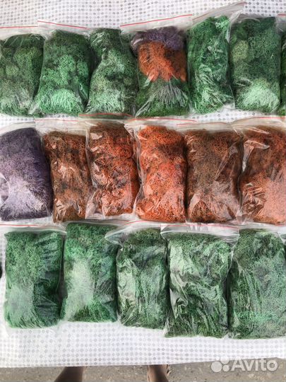 Стабилизированный мох для прдедок