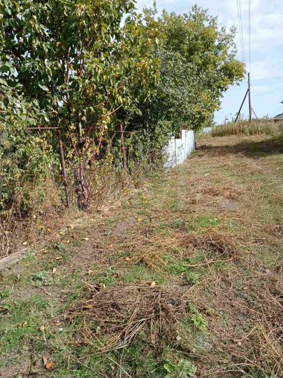 Участок 5,5 сот. (СНТ, ДНП)