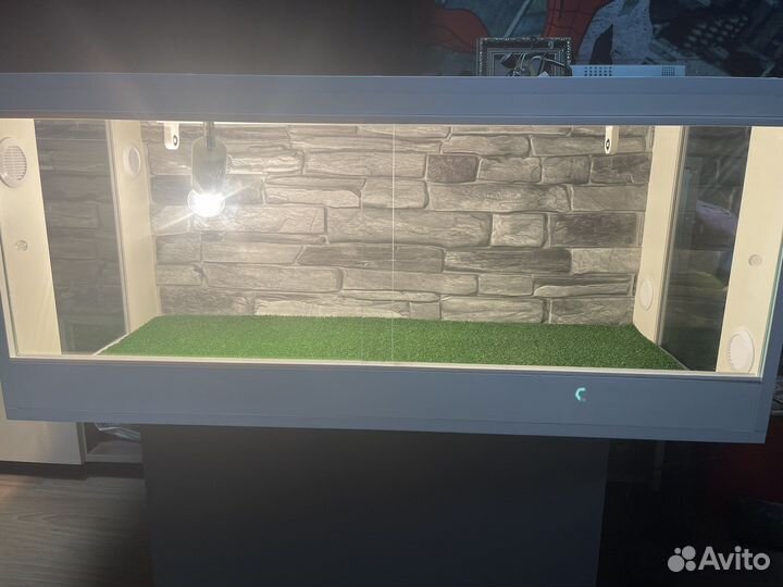 Террариум для рептилий