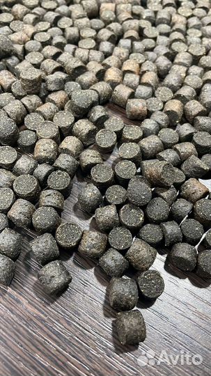 Корм для осетровых и форельевых рыб