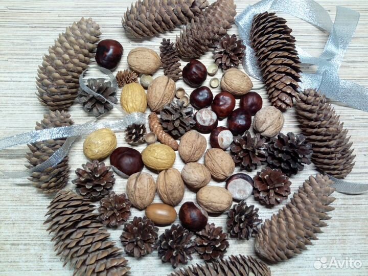 Набор Шишек еловые и орехи,поделок в садик