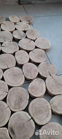Торцевые спилы деревьев