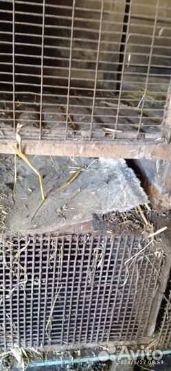 Клетки для кроликов бу