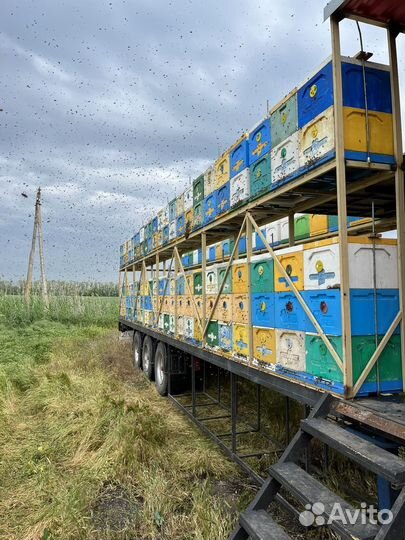 Передвижная пасека