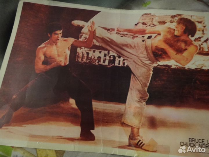 2 картины брюсли и 2 картины обезьяна