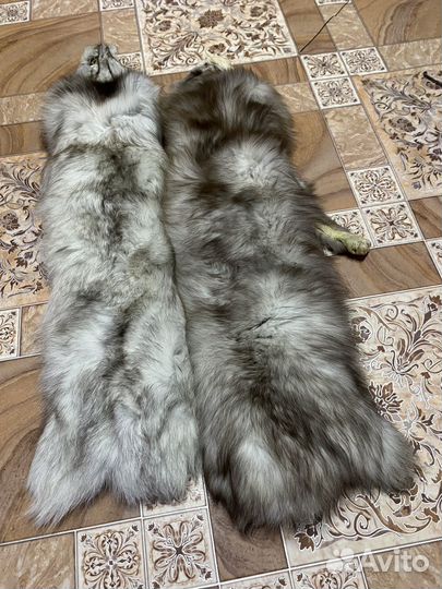 Шкурка песца выделаные чулком