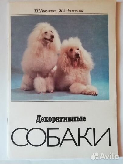 Декоративные собаки