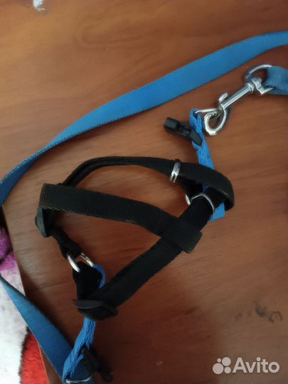 Поводок-шлейка