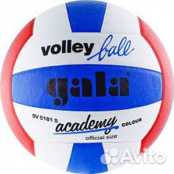 Мяч волейбольный Gala Akademy