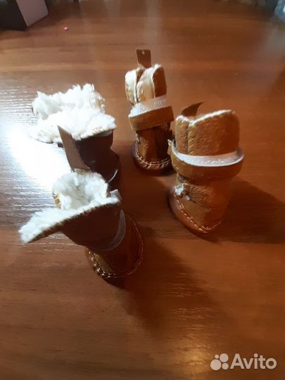 Башмачки для собаки новые
