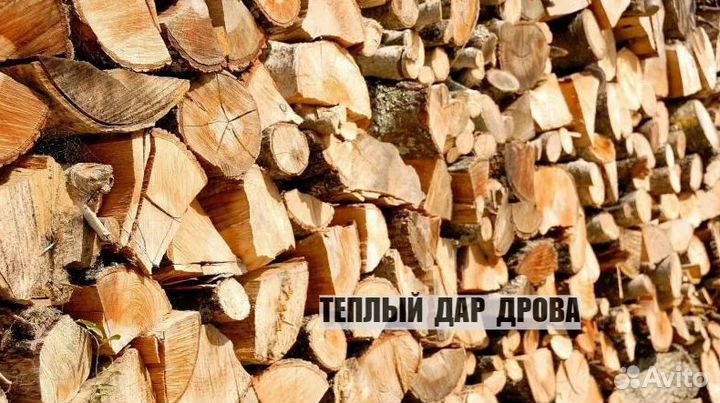 Дрова сухие