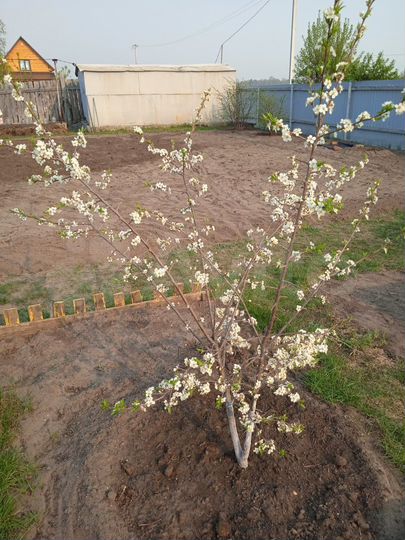 Дом 70 м² на участке 11 сот.