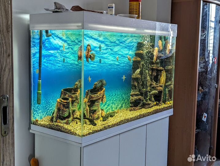Аквариум 240л комплект с фильтром