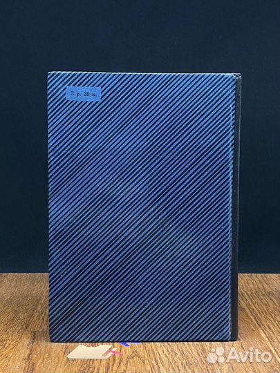 Фонтанный дом