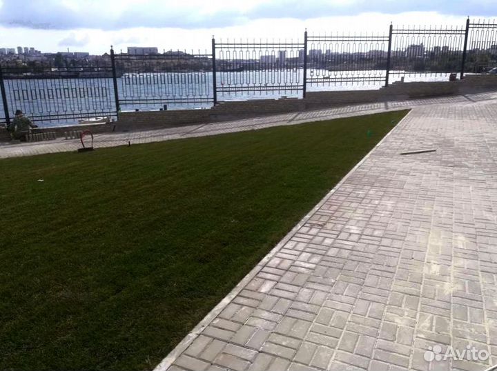 Рулонный газон от производителя