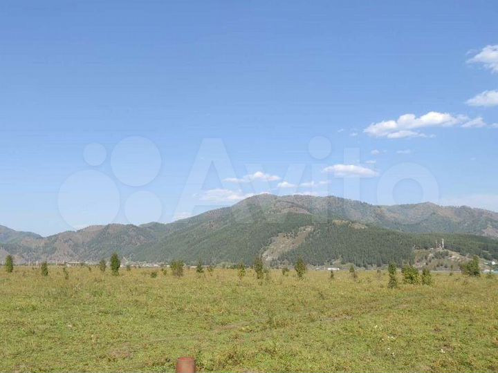 Участок 24 сот. (СНТ, ДНП)