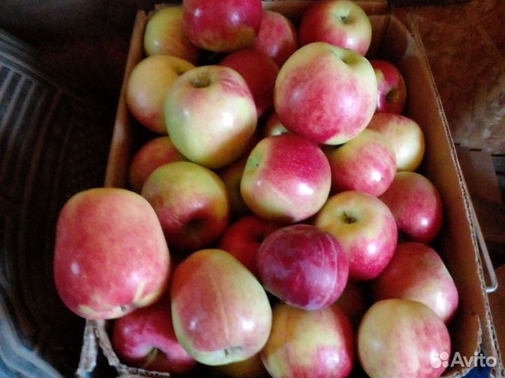 Аджика Яблоко