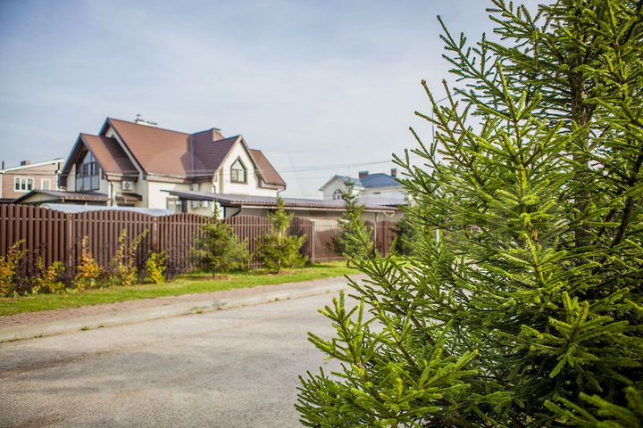 Участок 18,5 сот. (СНТ, ДНП)