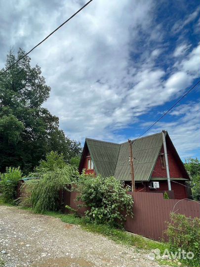 Передержка собак в домашних условиях