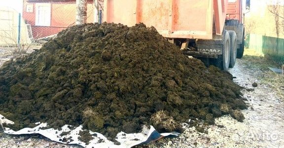 Чернозем. Перегной. Грунт. Торф. Навоз. Доставка