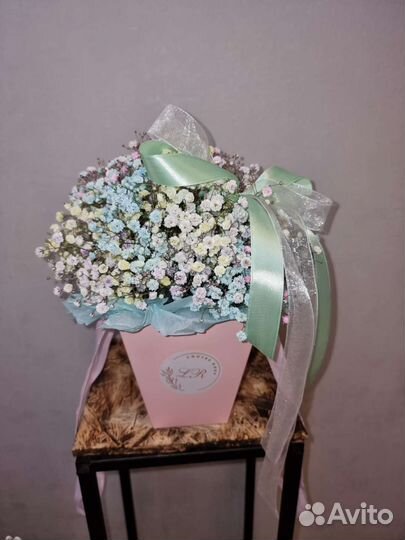 Цветы,гипсофила