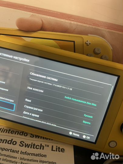 Nintendo switch lite прошитая