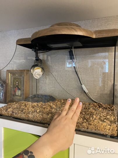 Террариум для сухопутной черепахи