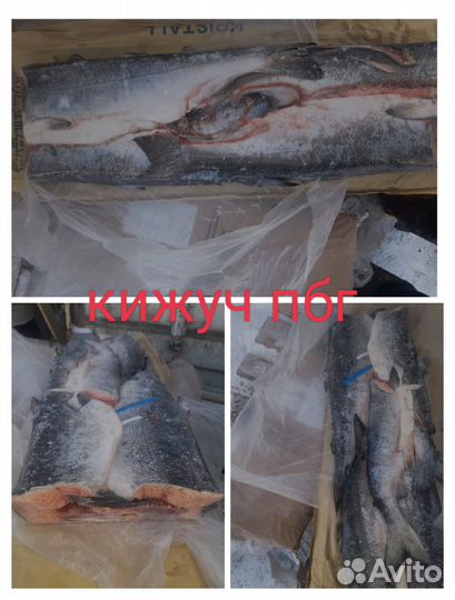 Кижуч пбг свежемороженная (Скумбрия/сельдь/сибас)