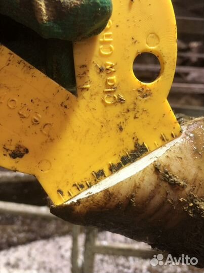 Обработка копыт обрезка копыт стрижка копыт