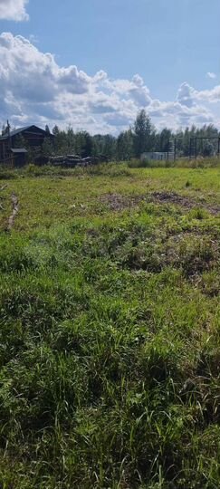 Участок 13,6 сот. (СНТ, ДНП)