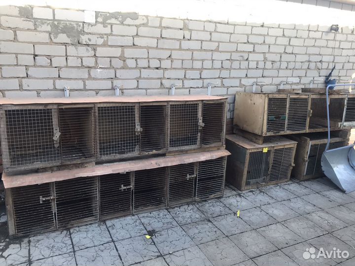 Клетки для кроликов бу