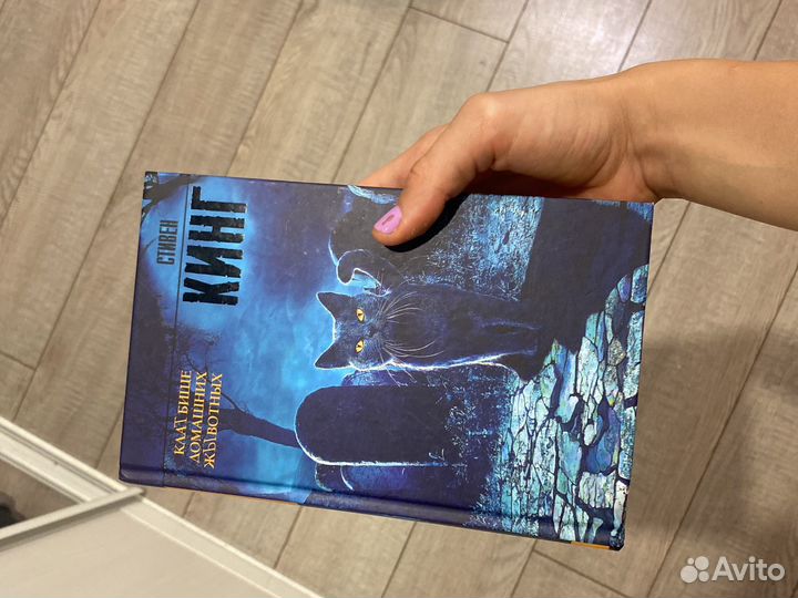 Кладбище домашних животных книга стивена кинга
