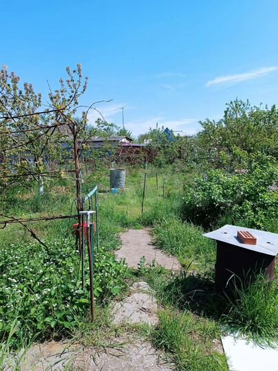 Дом 60 м² на участке 5 сот.