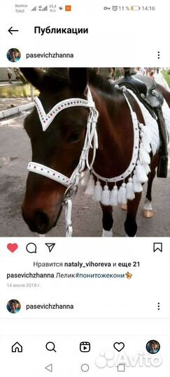 Уздечка для лошади