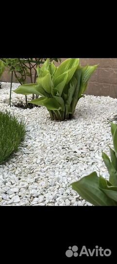 Белая мраморная крошка