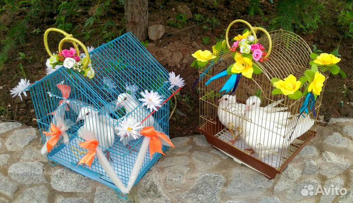 Белые голуби