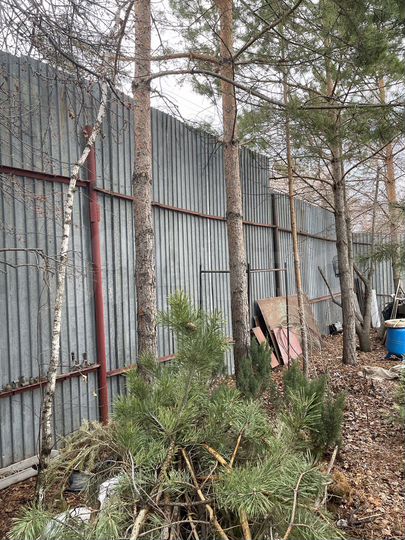 Участок 5,5 сот. (СНТ, ДНП)