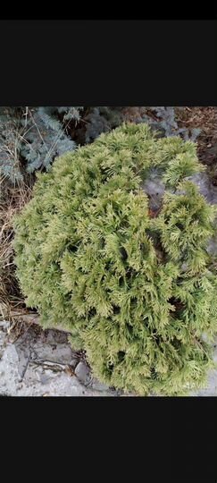 Дача 70 м² на участке 6 сот.